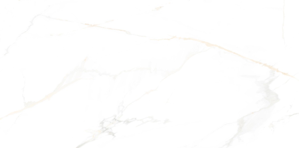 e10d1b69983c8faec5f567fa62e32d0a_1737614132_578.jpg