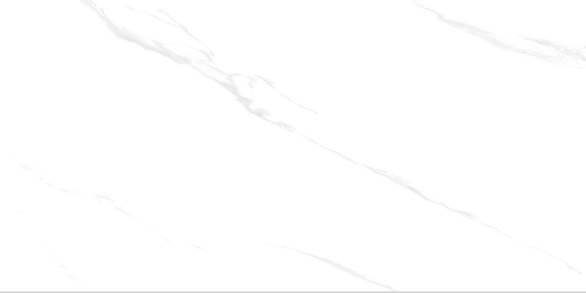 c2c245b5e472bd8eb1d1b85731bd1dc8_1736231814_4138.jpg