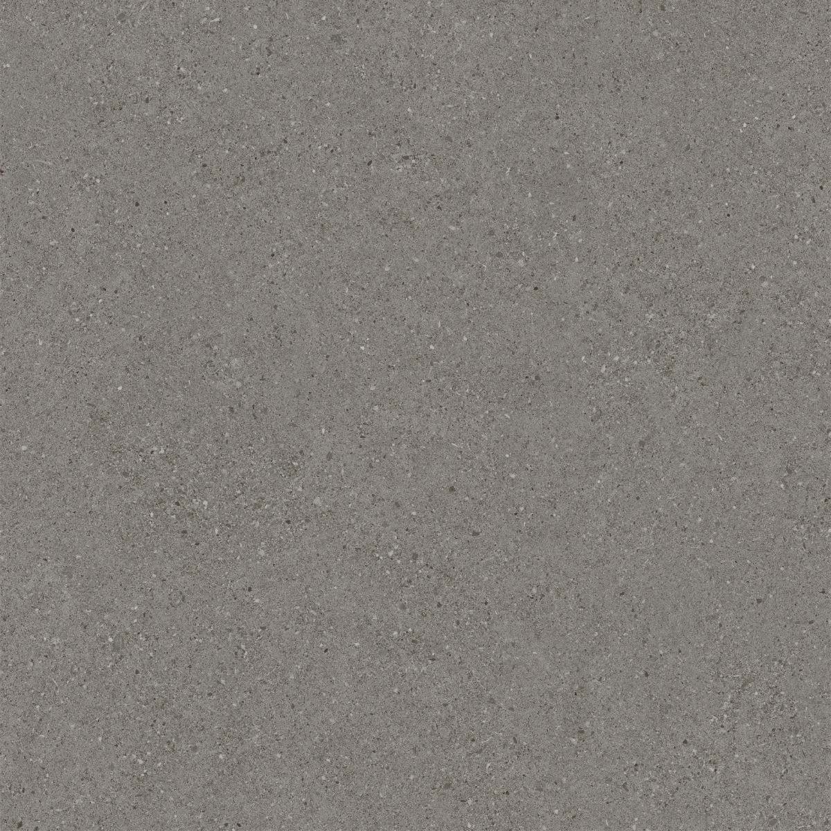 ec0c4b2223414b3e81988db85dffdbdc_1735889189_3271.jpg