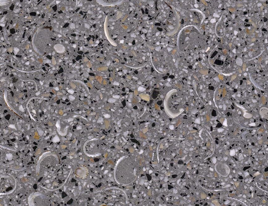 f7934decaa275a297d25f606d010976e_1738648913_4828.png